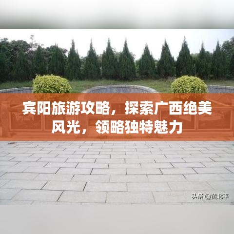 第420页