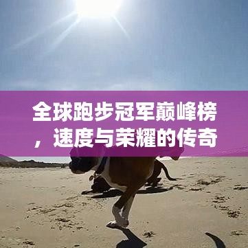 全球跑步冠军巅峰榜，速度与荣耀的传奇对决！