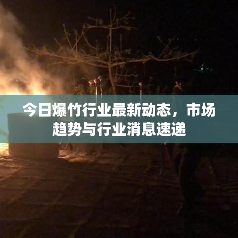 今日爆竹行业最新动态，市场趋势与行业消息速递