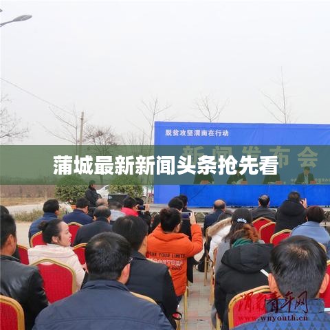 蒲城最新新闻头条抢先看