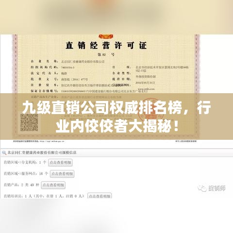 九级直销公司权威排名榜，行业内佼佼者大揭秘！