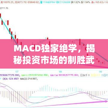 MACD独家绝学，揭秘投资市场的制胜武器