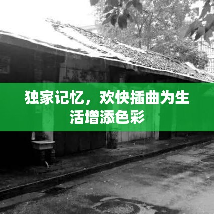 独家记忆，欢快插曲为生活增添色彩