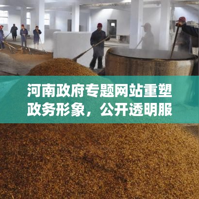 河南政府专题网站重塑政务形象，公开透明服务新平台亮相