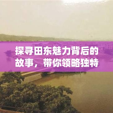 绝无仅有 第2页