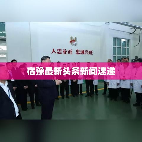 宿豫最新头条新闻速递