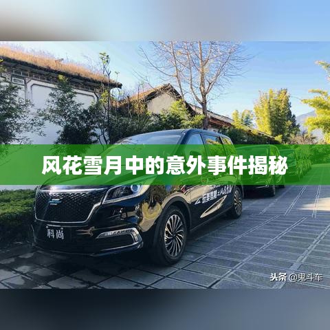 风花雪月中的意外事件揭秘