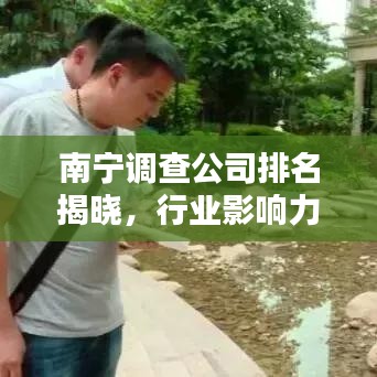 南宁调查公司排名揭晓，行业影响力深度解析