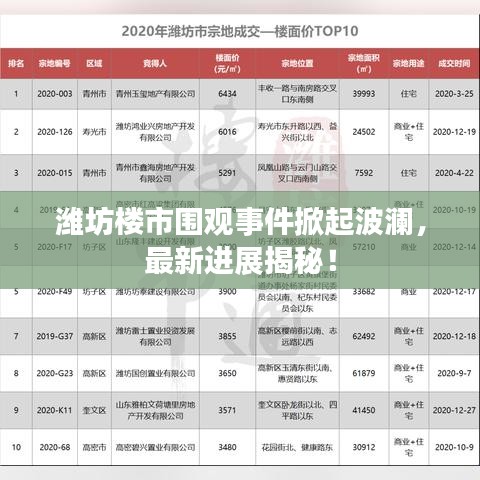潍坊楼市围观事件掀起波澜，最新进展揭秘！