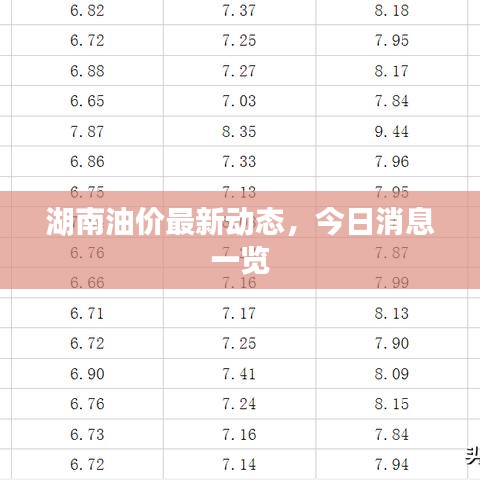 湖南油价最新动态，今日消息一览