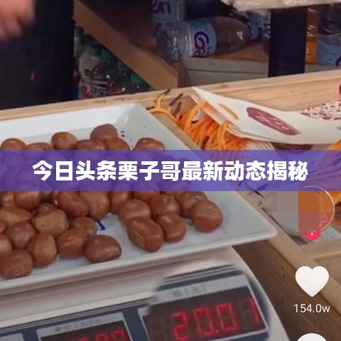 今日头条栗子哥最新动态揭秘