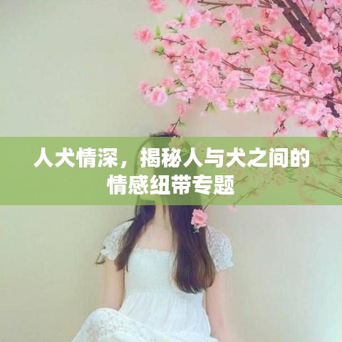 人犬情深，揭秘人与犬之间的情感纽带专题