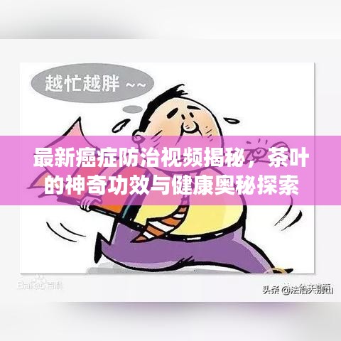 最新癌症防治视频揭秘，茶叶的神奇功效与健康奥秘探索