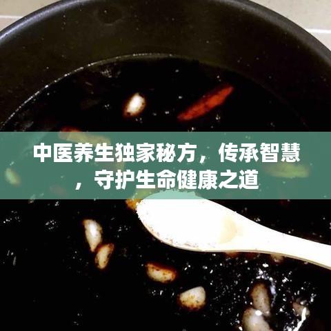 中医养生独家秘方，传承智慧，守护生命健康之道