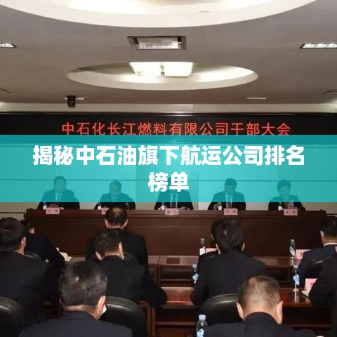 揭秘中石油旗下航运公司排名榜单