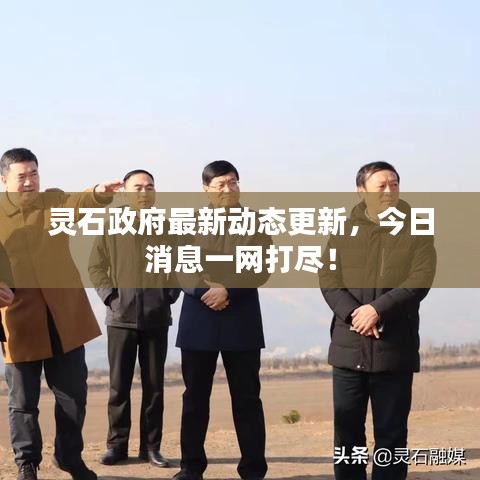 灵石政府最新动态更新，今日消息一网打尽！