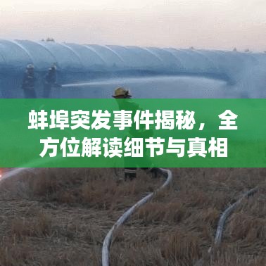 蚌埠突发事件揭秘，全方位解读细节与真相