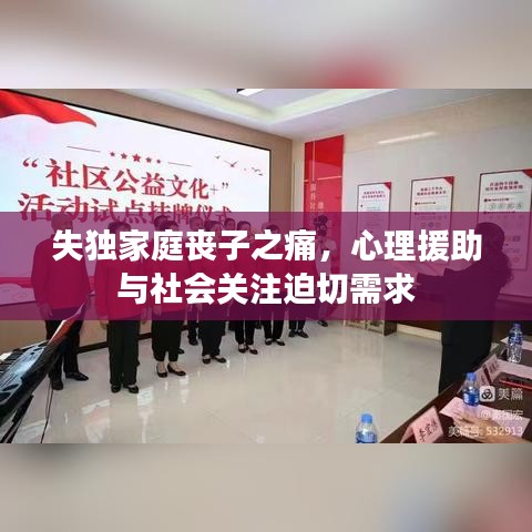 失独家庭丧子之痛，心理援助与社会关注迫切需求