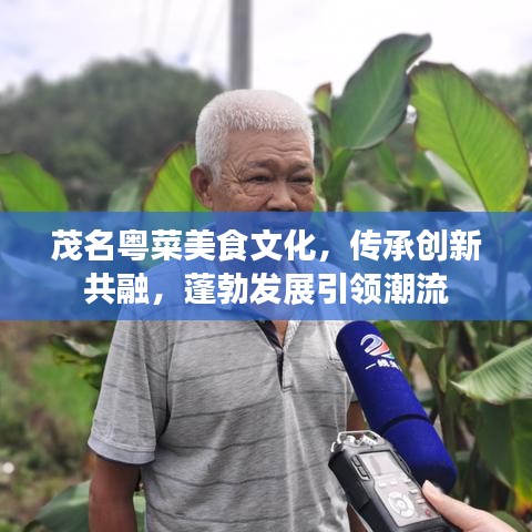 在线留言 第20页