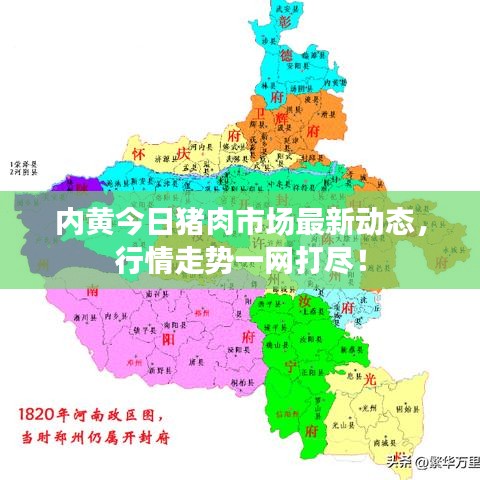 内黄今日猪肉市场最新动态，行情走势一网打尽！