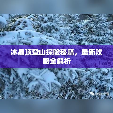 冰晶顶登山探险秘籍，最新攻略全解析