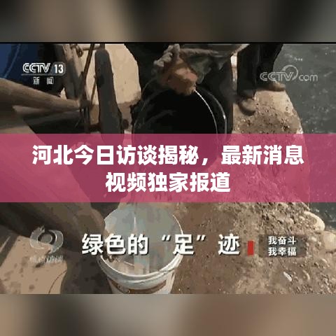 河北今日访谈揭秘，最新消息视频独家报道