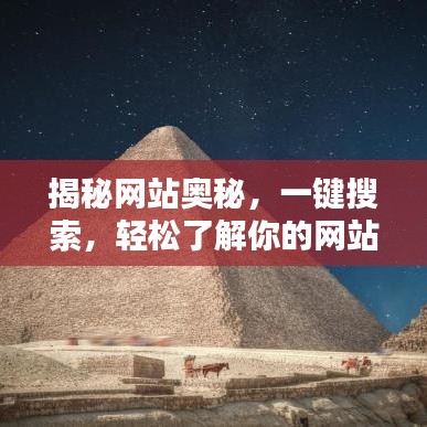 揭秘网站奥秘，一键搜索，轻松了解你的网站！