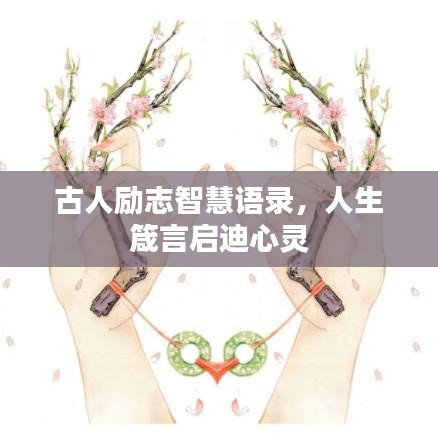 采椽不斫