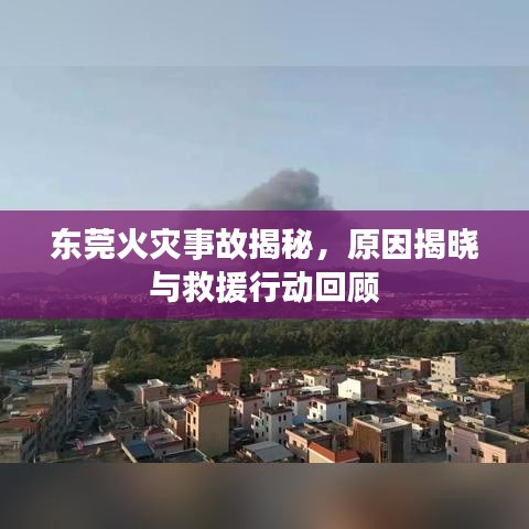 东莞火灾事故揭秘，原因揭晓与救援行动回顾