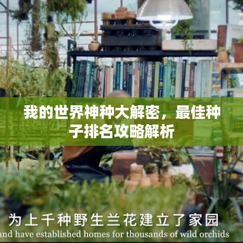 我的世界神种大解密，最佳种子排名攻略解析