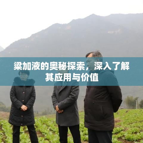 粱加液的奥秘探索，深入了解其应用与价值