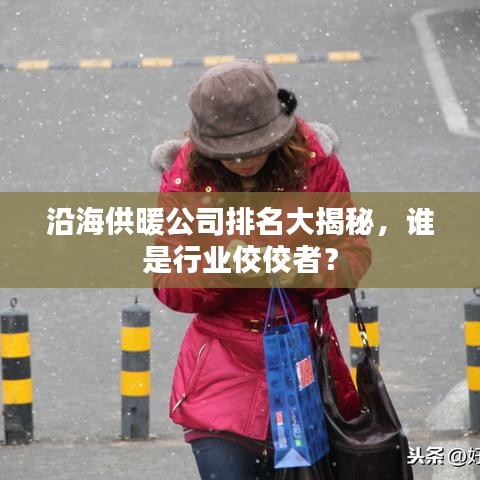 沿海供暖公司排名大揭秘，谁是行业佼佼者？