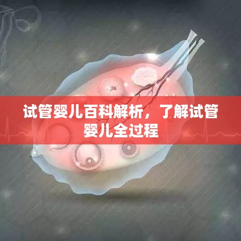 试管婴儿百科解析，了解试管婴儿全过程