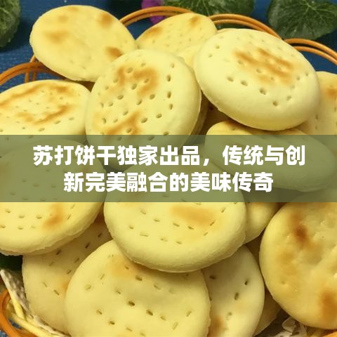 苏打饼干独家出品，传统与创新完美融合的美味传奇