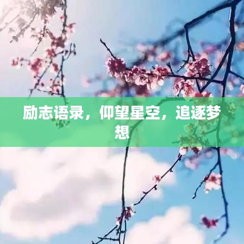 励志语录，仰望星空，追逐梦想