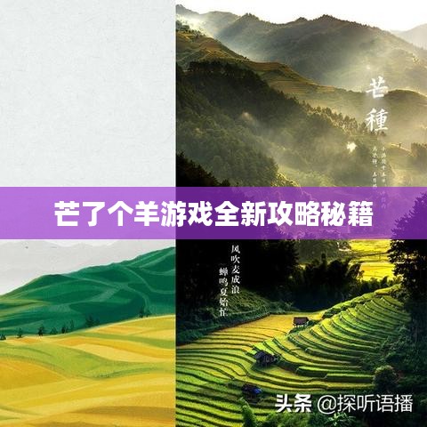 芒了个羊游戏全新攻略秘籍