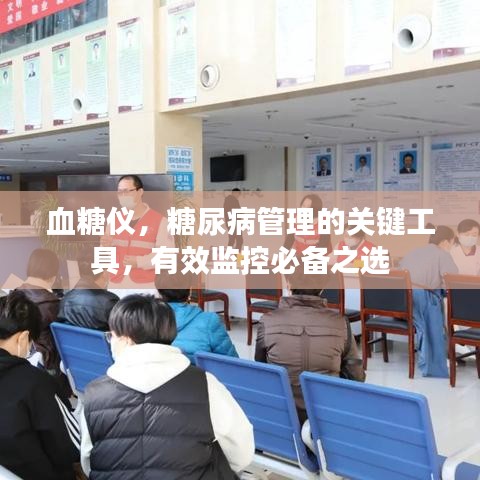 血糖仪，糖尿病管理的关键工具，有效监控必备之选