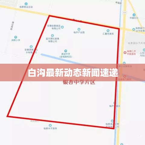 白沟最新动态新闻速递