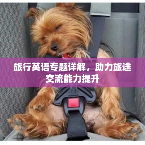 旅行英语专题详解，助力旅途交流能力提升