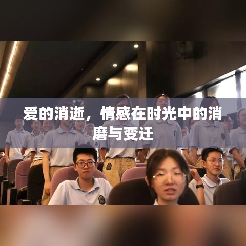 爱的消逝，情感在时光中的消磨与变迁