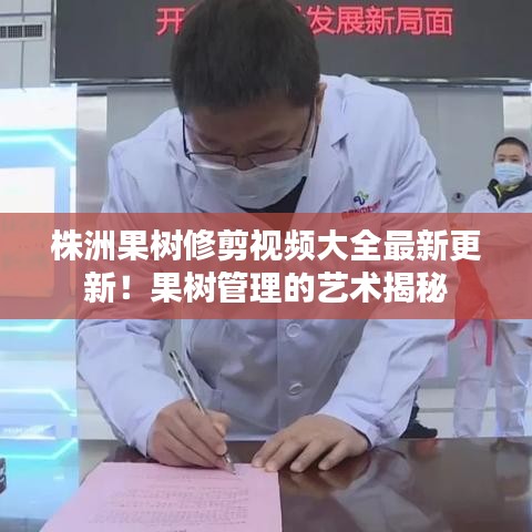 株洲果树修剪视频大全最新更新！果树管理的艺术揭秘