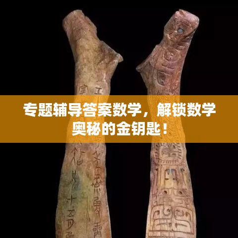 专题辅导答案数学，解锁数学奥秘的金钥匙！