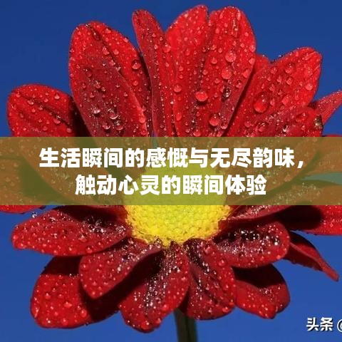 生活瞬间的感慨与无尽韵味，触动心灵的瞬间体验