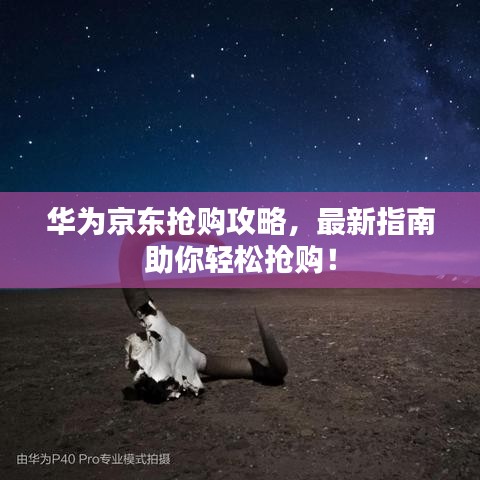 华为京东抢购攻略，最新指南助你轻松抢购！