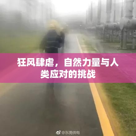 螺旋钢管 第13页