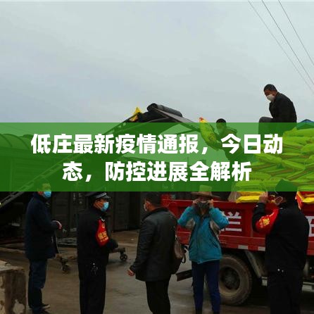 低庄最新疫情通报，今日动态，防控进展全解析