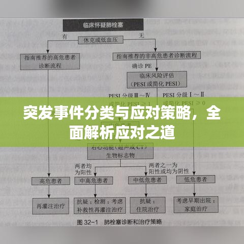 突发事件分类与应对策略，全面解析应对之道