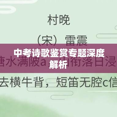 中考诗歌鉴赏专题深度解析
