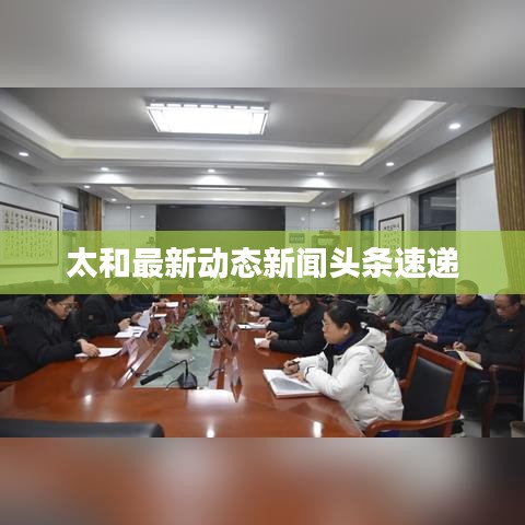 太和最新动态新闻头条速递