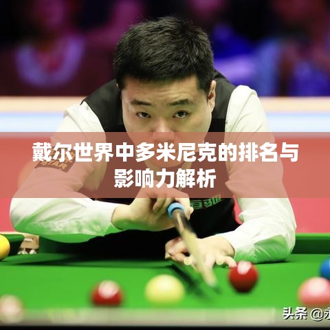 戴尔世界中多米尼克的排名与影响力解析